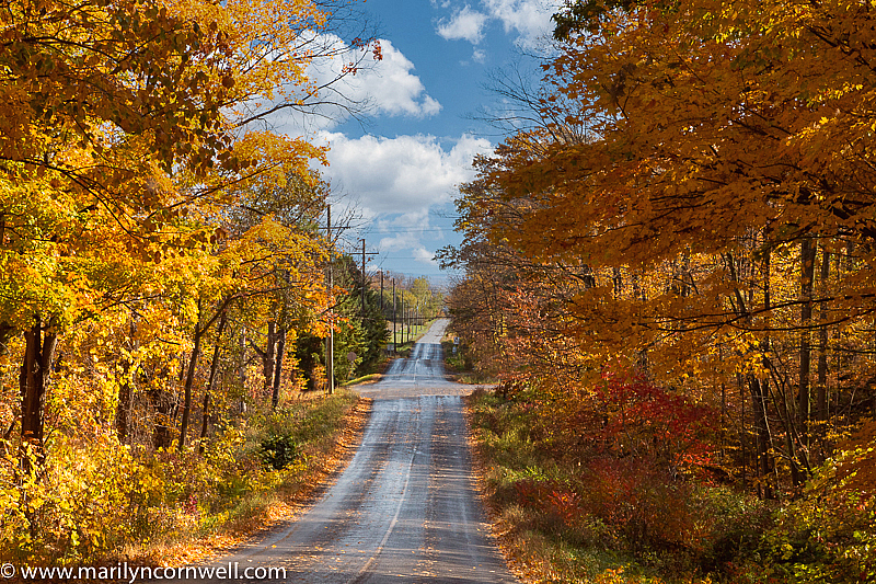 Along Moyer Road