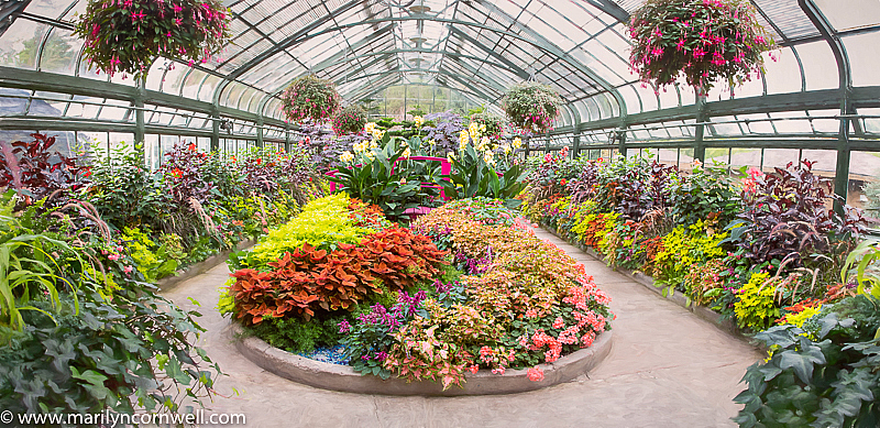 Niagara Falls Conservatory Showcase 