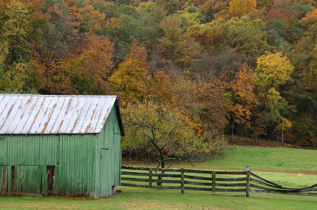 Fall on the Farm