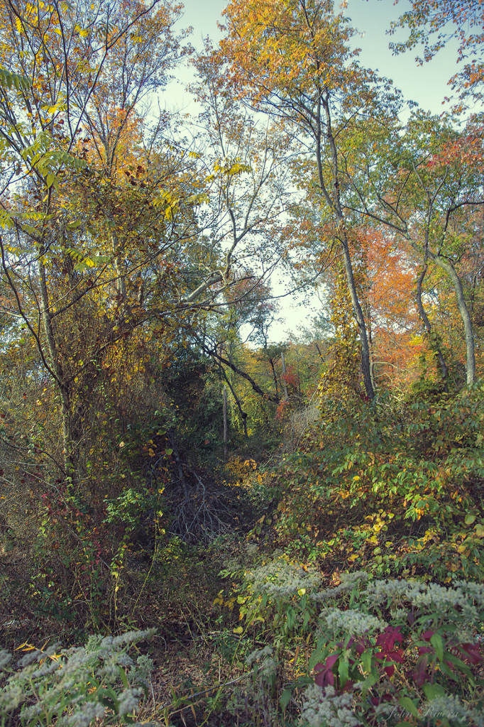img20