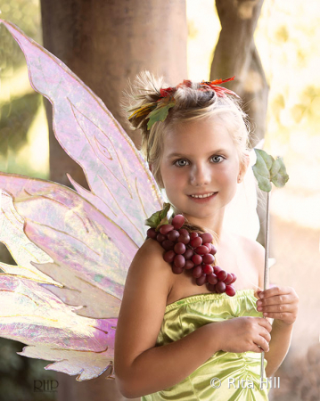 Harvest Fairy
