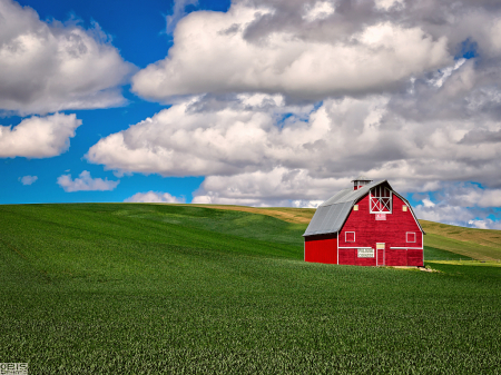 Red Barn