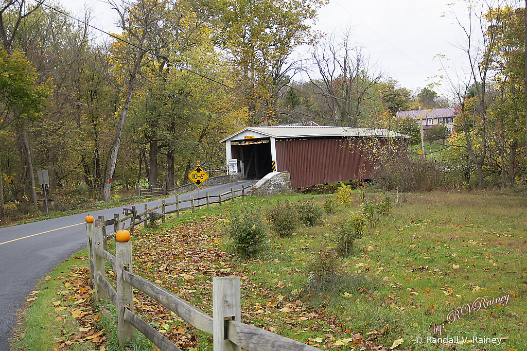 Pumpkins for Kauffmans's Distillery Bridge