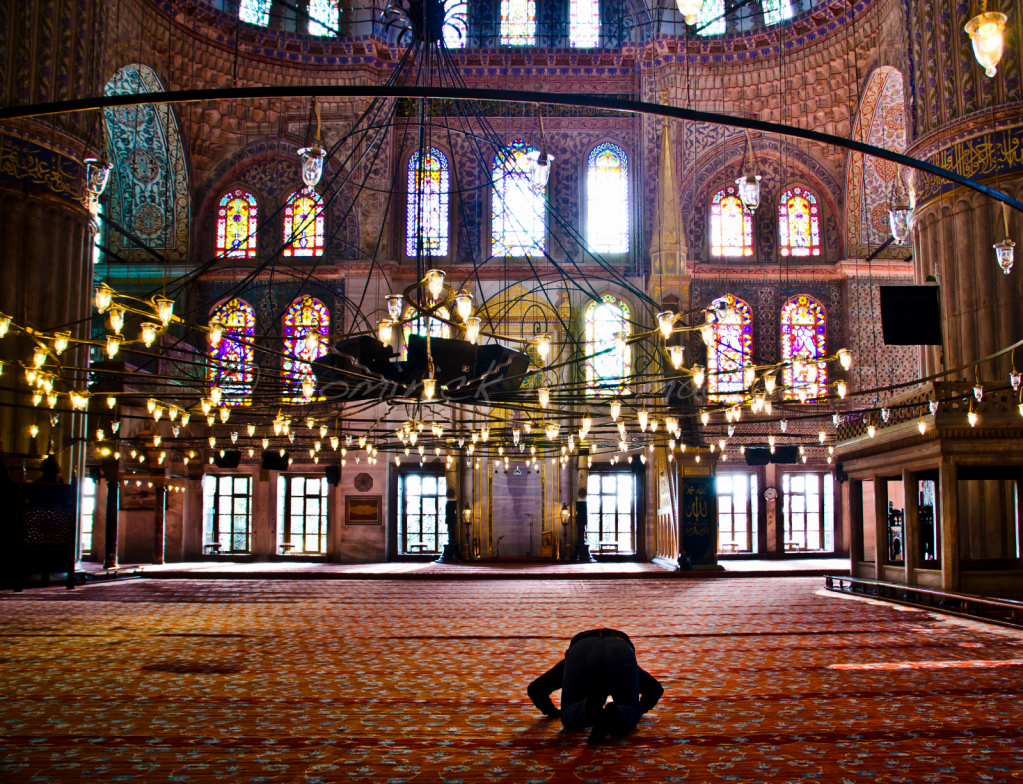 ~ ~ INSIDE THE BLUE MOSQUE ~ ~