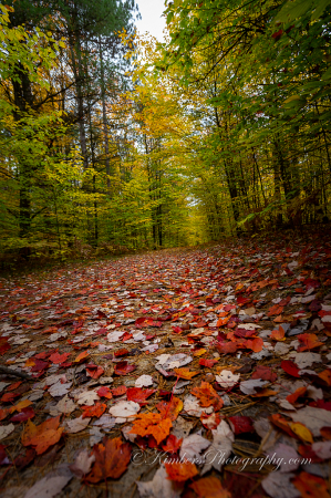 A fall walk