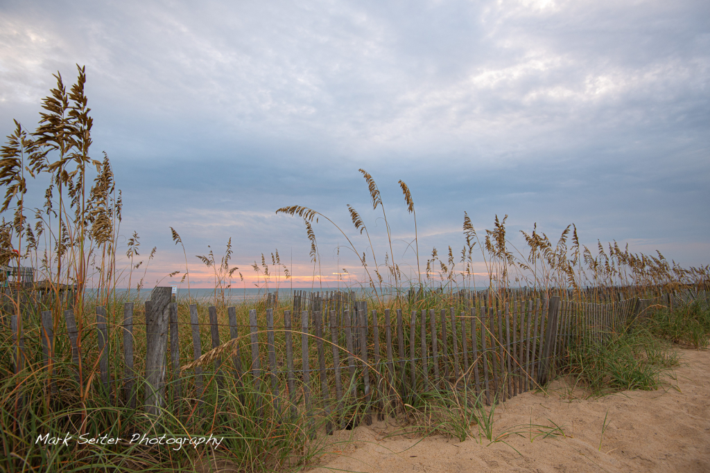 sunrise over the fence