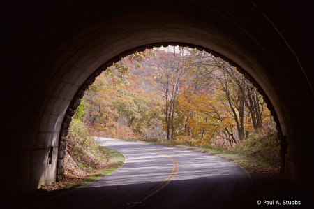 Tunnel Vision