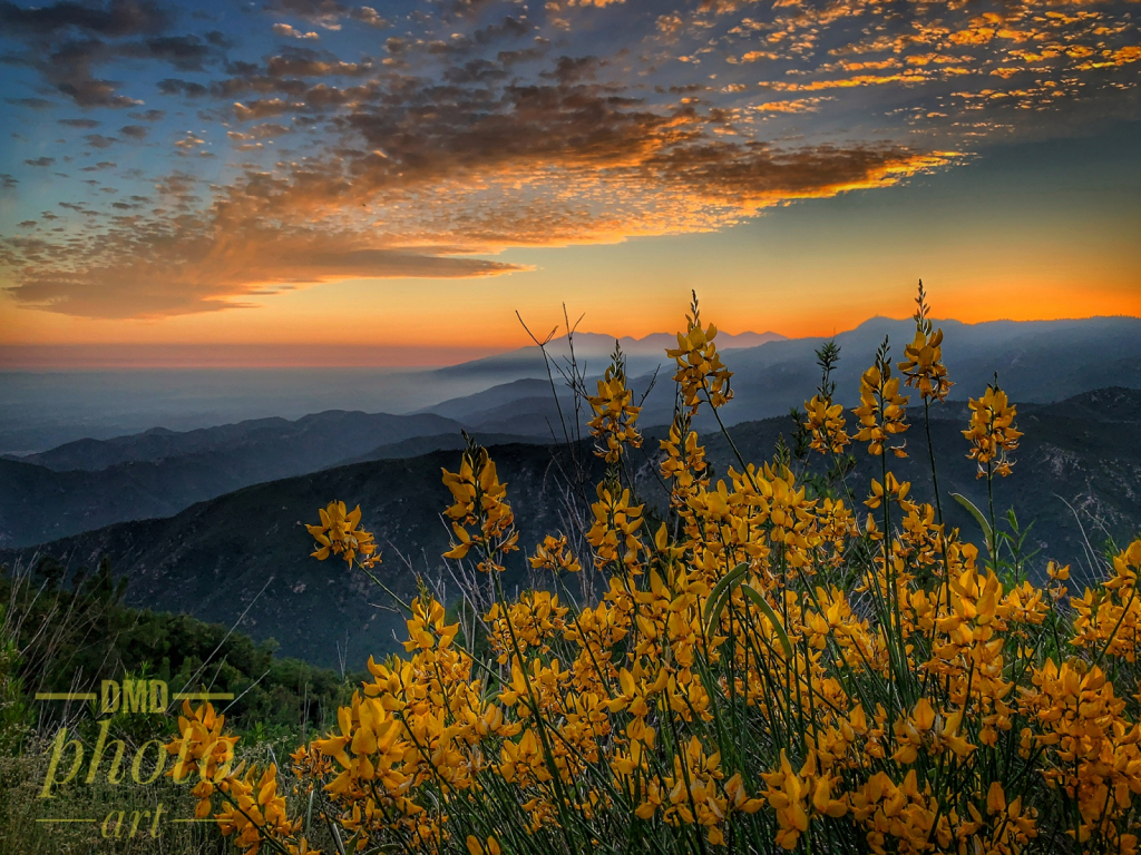 ~ ~ ANOTHER CALIFORNIA SUNSET ~ ~ 