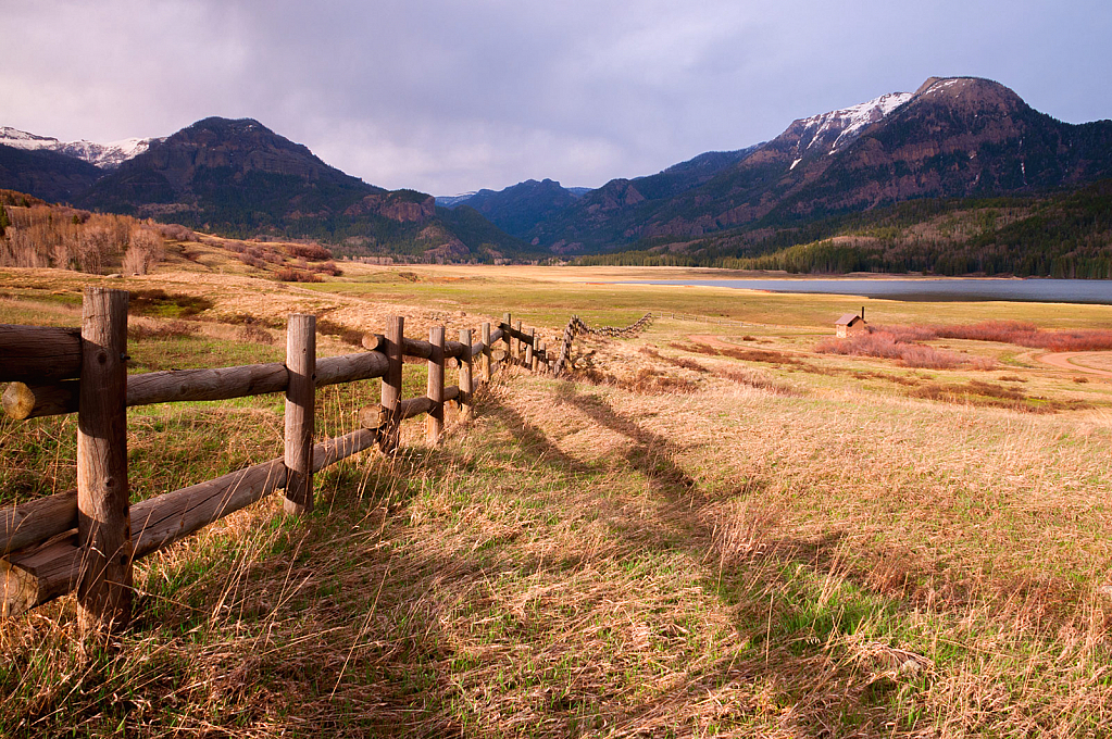 Long Log Fence