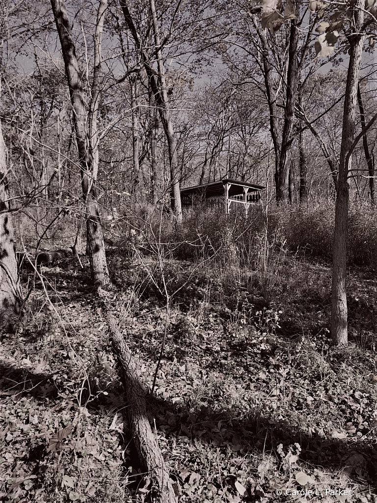 Abandoned Black And White