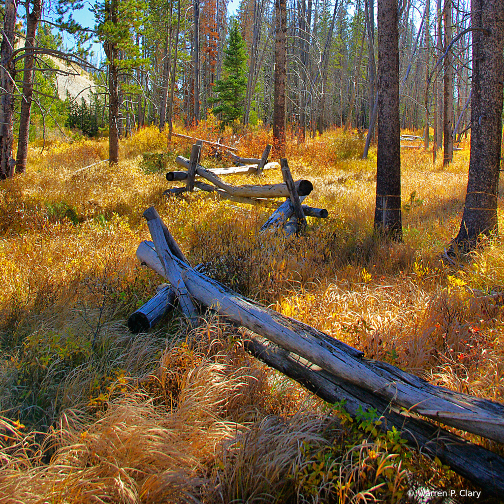 Old fences never die, they just fade away