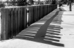 Fence Shadow  964...