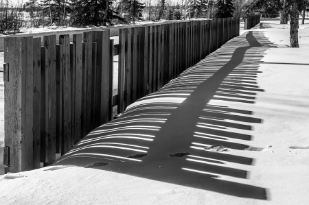 Fence Shadow  9646