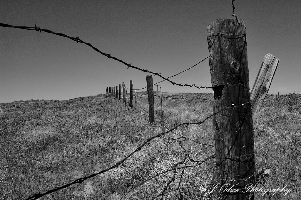 Barbed Wire