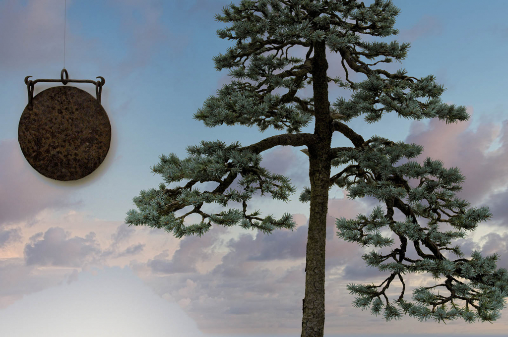 Bonsai and Gong - ID: 15865511 © Paul Coco