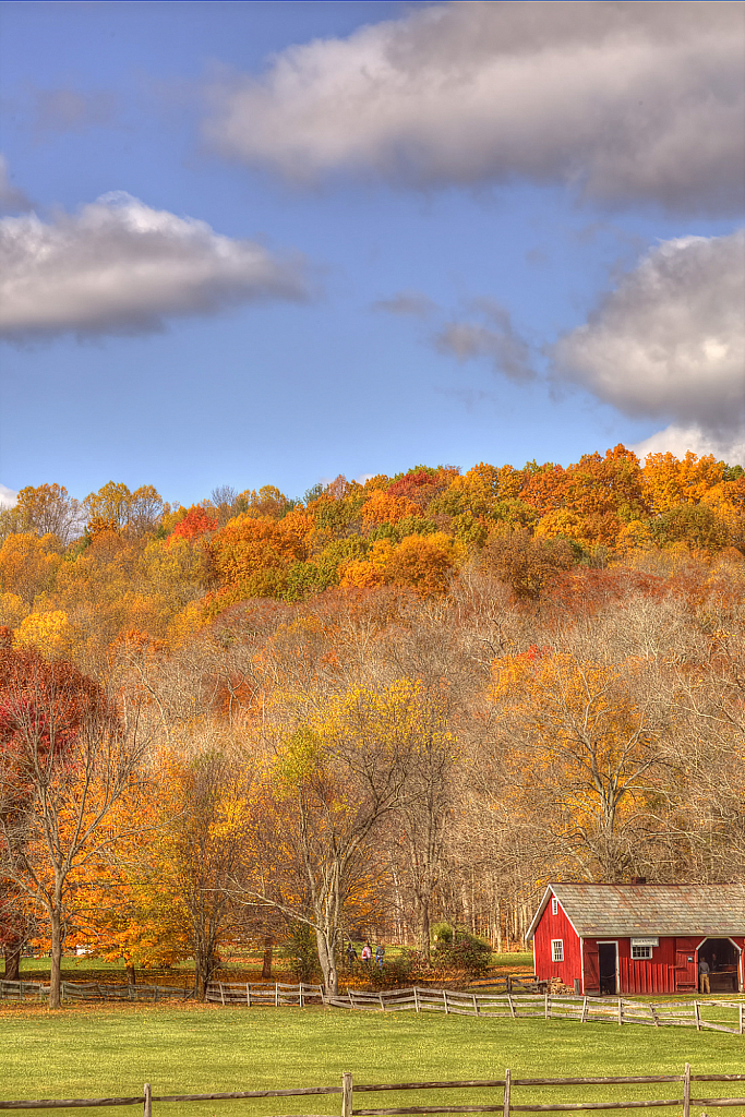 Red Barn and Fences