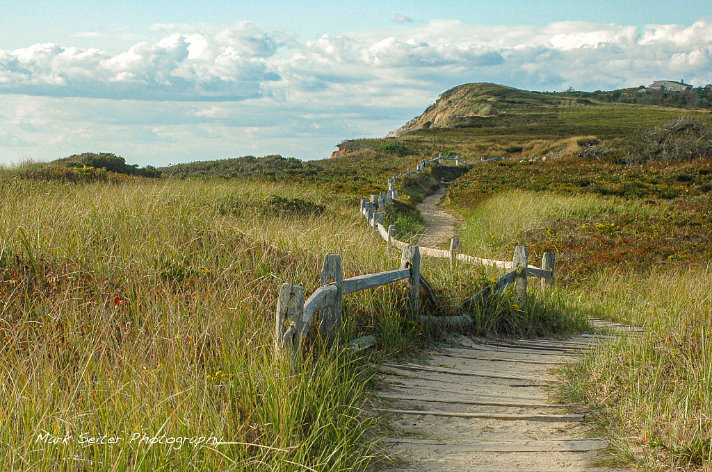 winding path