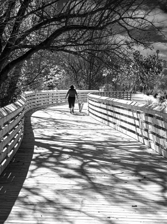 A walk in the Park