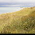 2Along The Shore - ID: 15865789 © Jacquie Palazzolo
