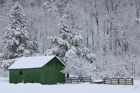 Winter Morning