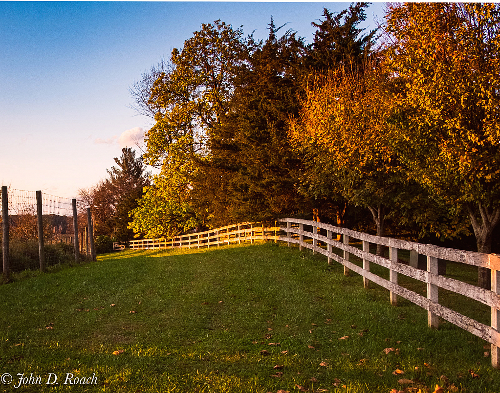 Fences, Grass and Autumn Light