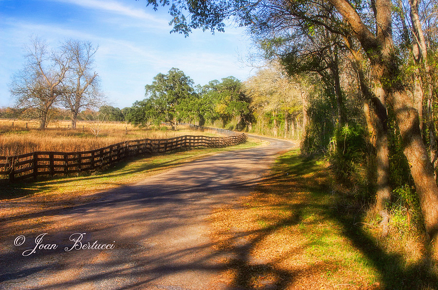 A Country Road