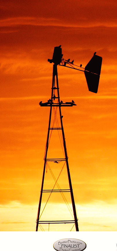 Sunrise on the Farm