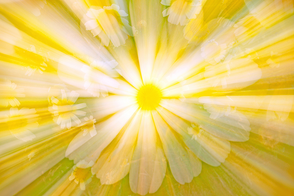 Daisy Abstract. - ID: 15867033 © Elias A. Tyligadas