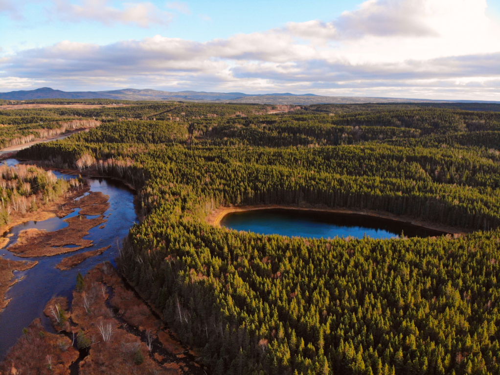 Beauty From The Air