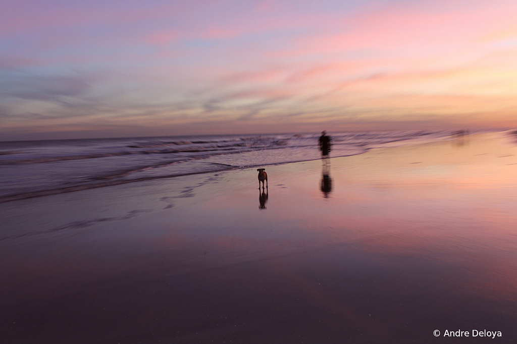 Walking the dog at sunset.