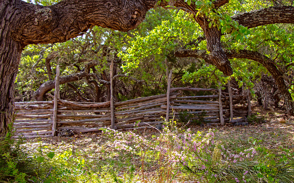 Old Fashioned Fence