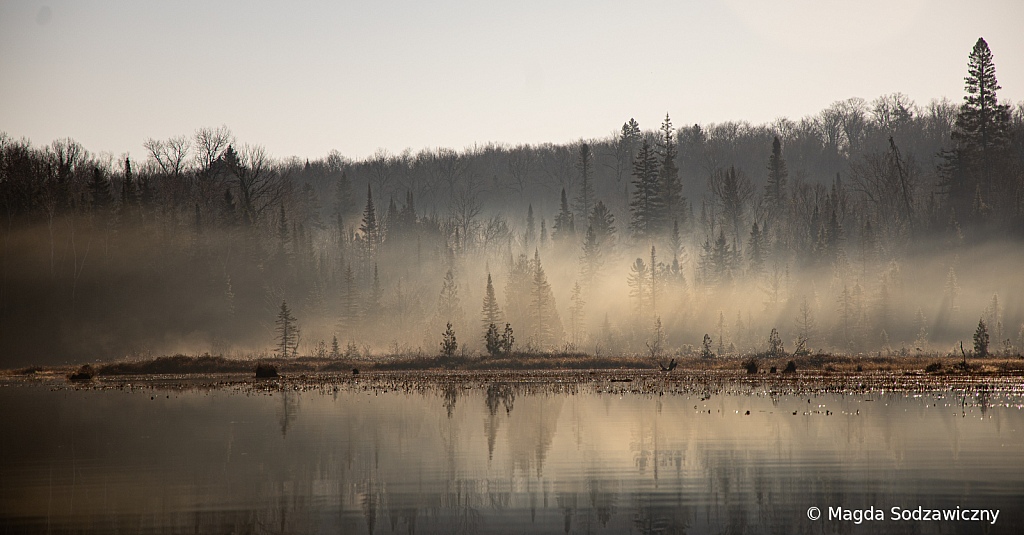 morning mist