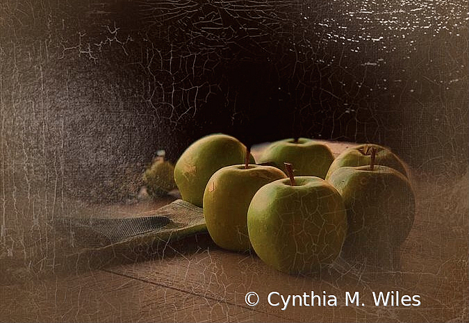 Aging Apples - ID: 15868200 © Cynthia M. Wiles
