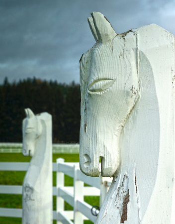 Guardians at the Gate