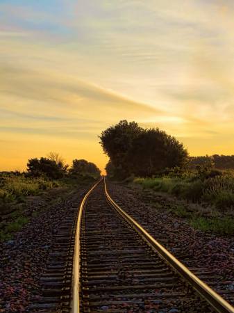 Track Lighting