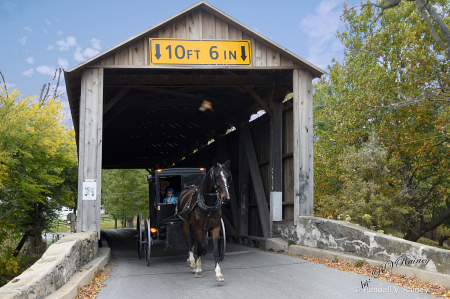 Amish on the Covered Bridge...