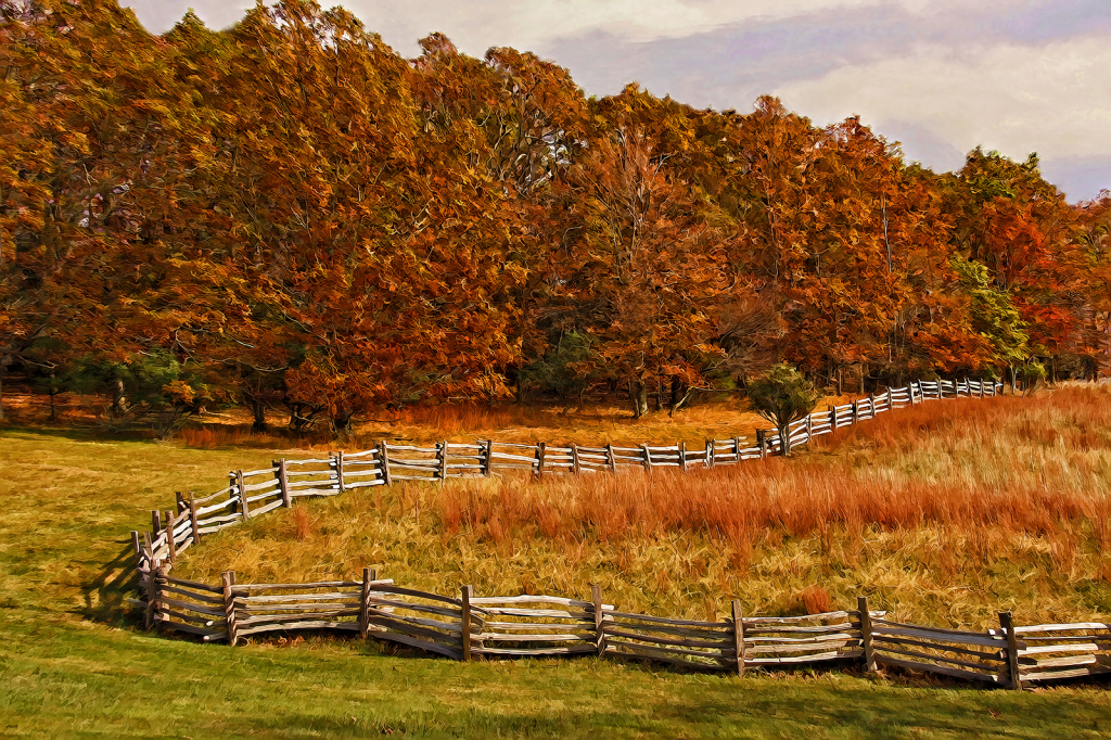 Autumn Fenceline 