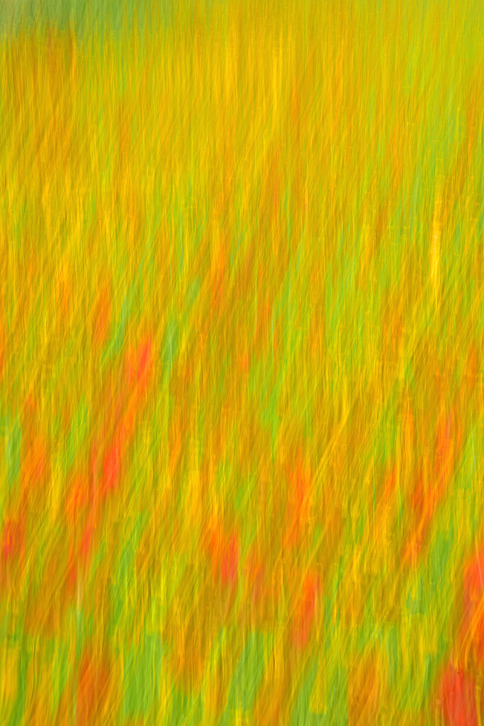 Color Synthesis. - ID: 15868699 © Elias A. Tyligadas