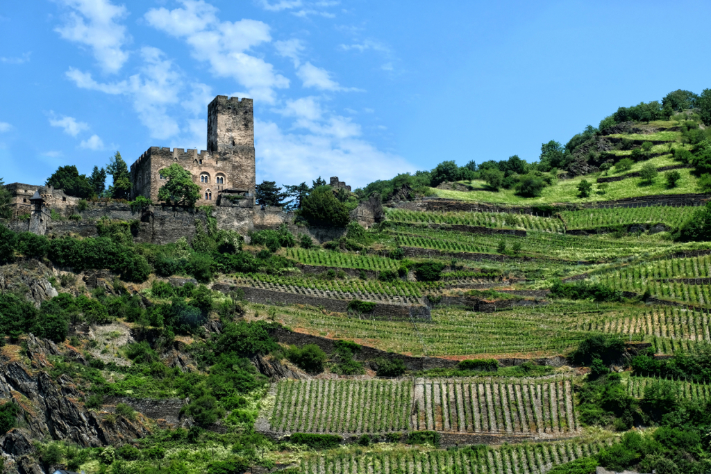 Cruising Rhine River in Germany