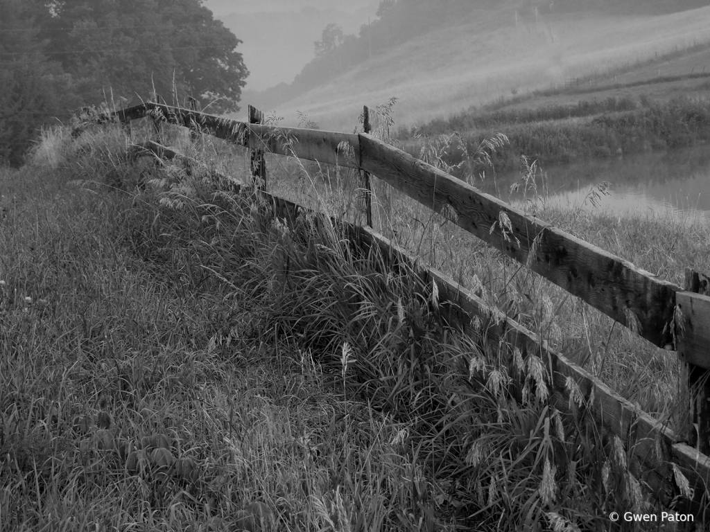 Foggy Morning on the Farm