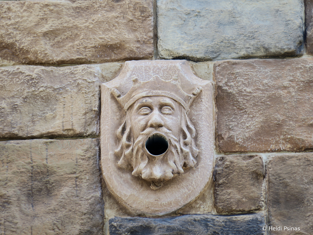 img19