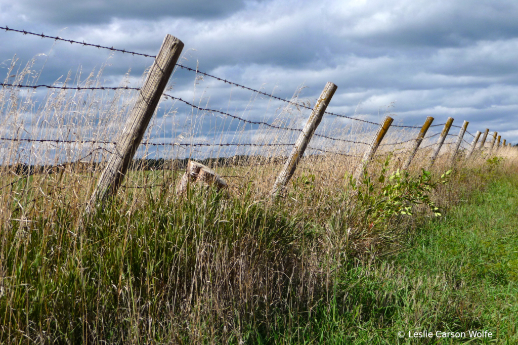 Fencing in or out?