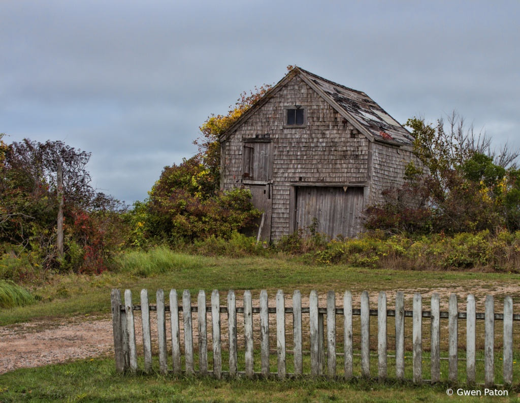 Shed on Block Island