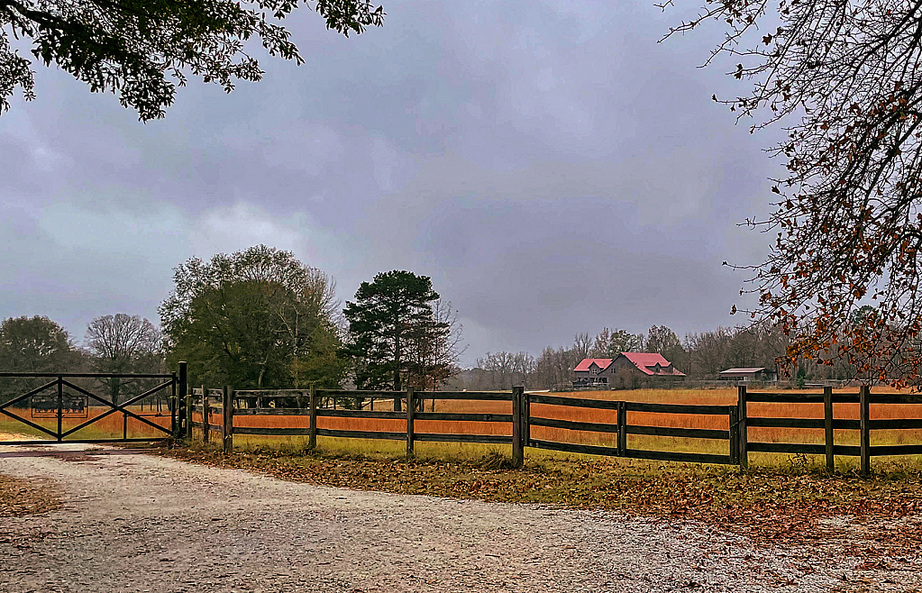 Bright Spot on a Dreary Day - ID: 15870147 © Janet Criswell