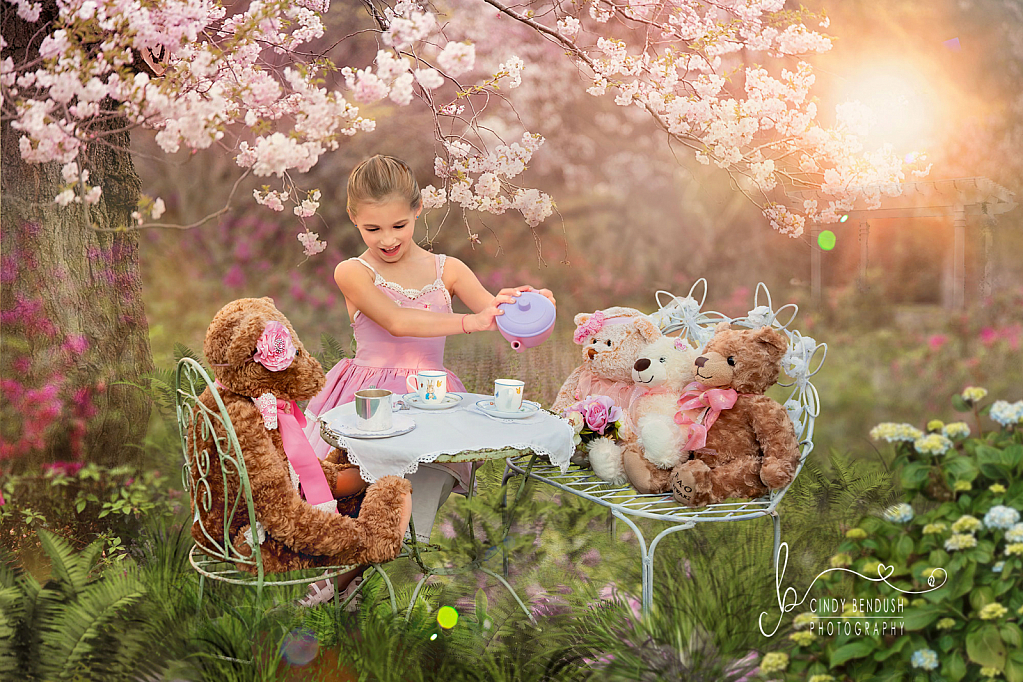 Cate's Teddy Bear Tea Party