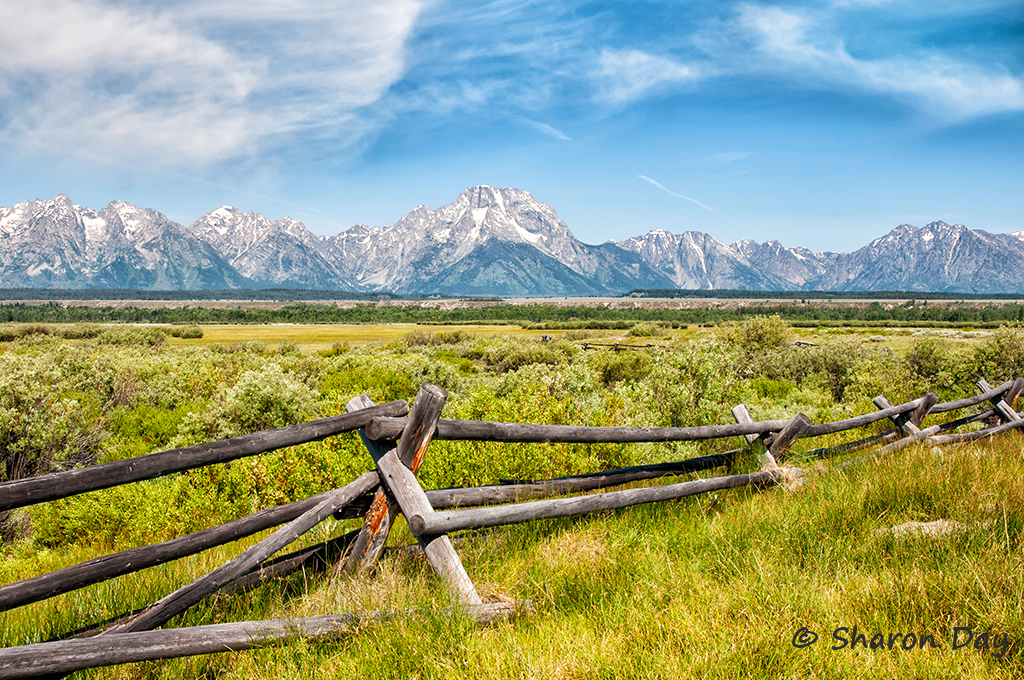 Split Rail Fence