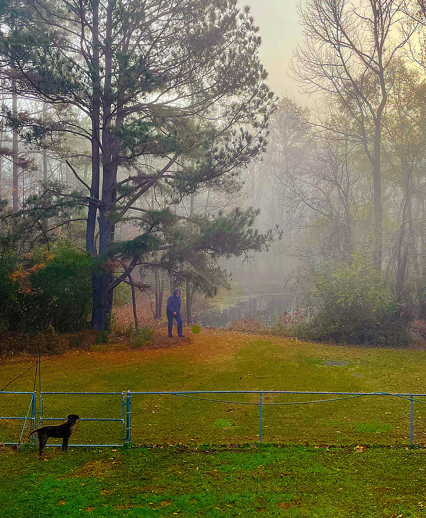 Foggy Morning - ID: 15870374 © Janet Criswell