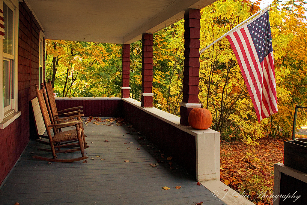 Goodbye Fall Foliage