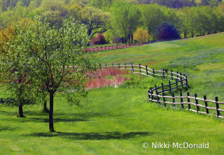 Mahoney Landscape