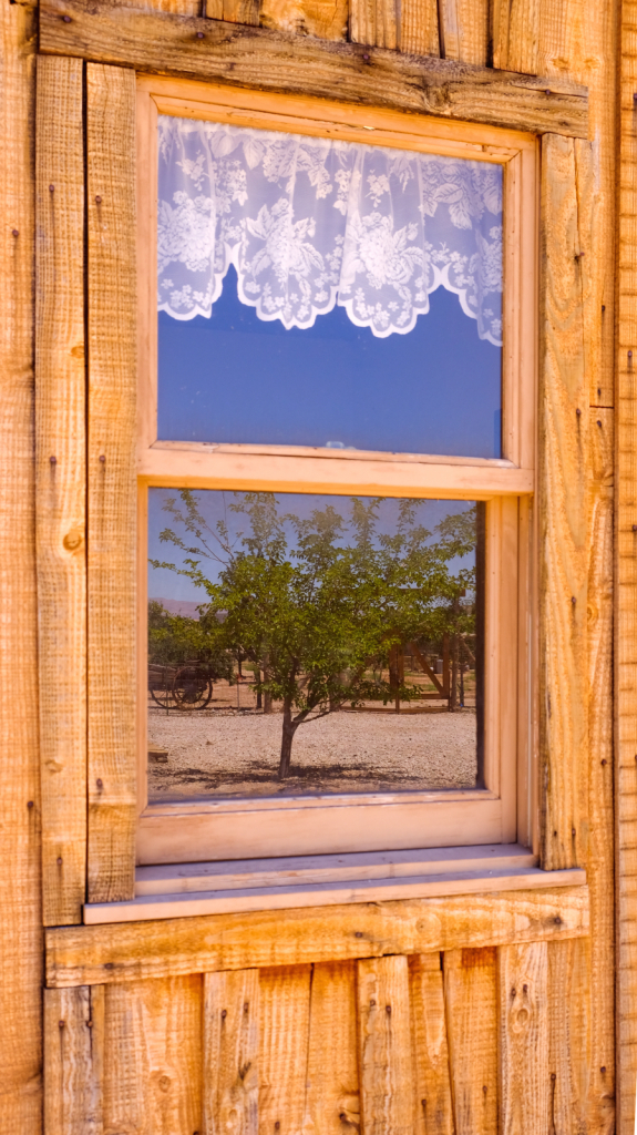 A window reflects the scenery